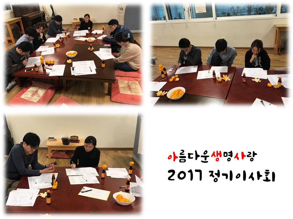 2017년 11월 이사회 보고