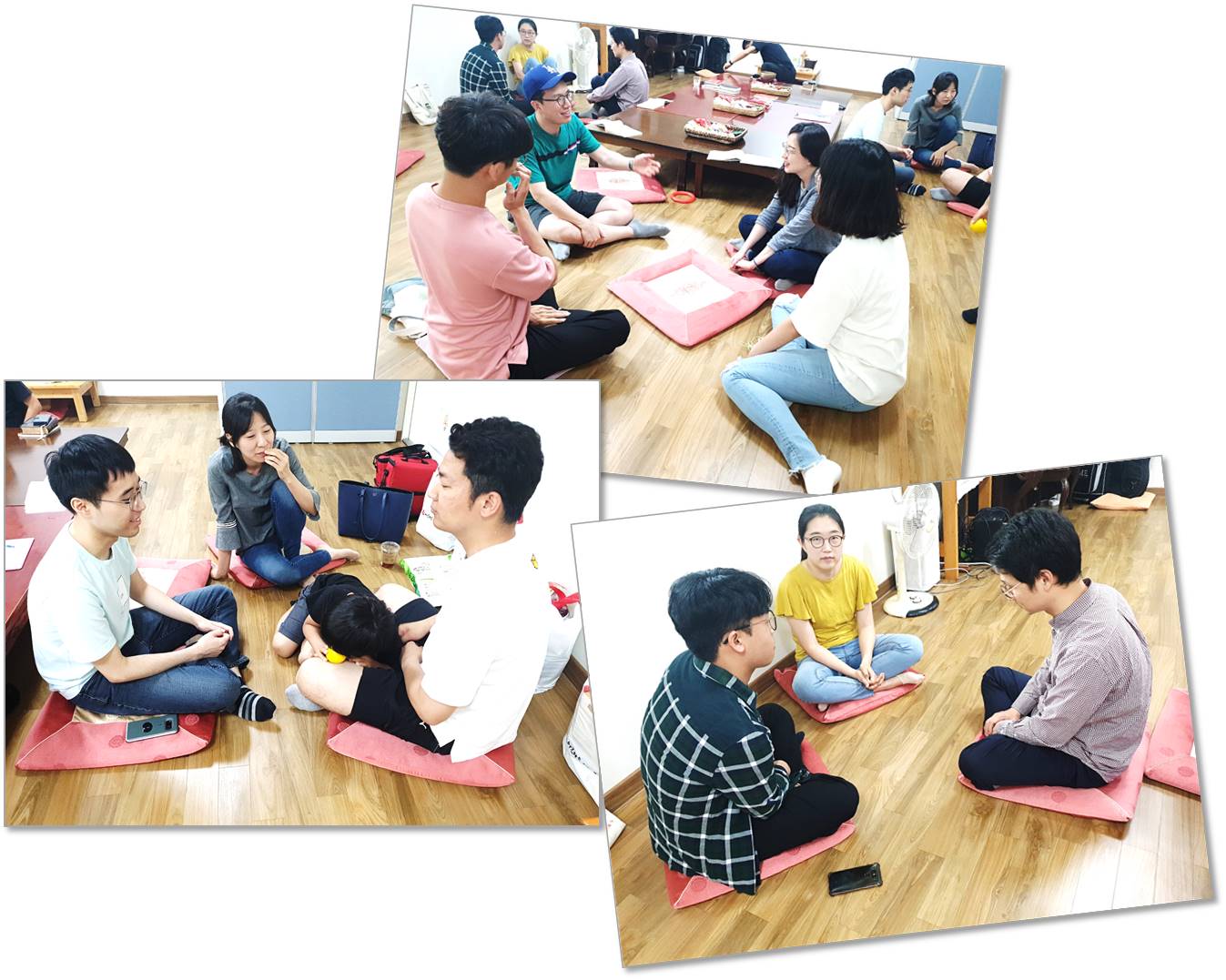 2019년 6월 우리동네건강연구회, 마음건강연구회 가정방문 이야기